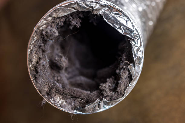 Best Affordable Air Duct Cleaning  in Navy, VA